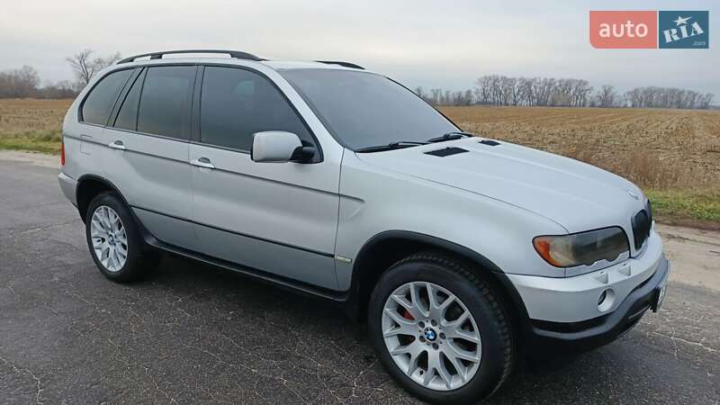 Позашляховик / Кросовер BMW X5 2002 в Борисполі фото Позашляховик / Кросовер BMW X5 2002 в Борисполі