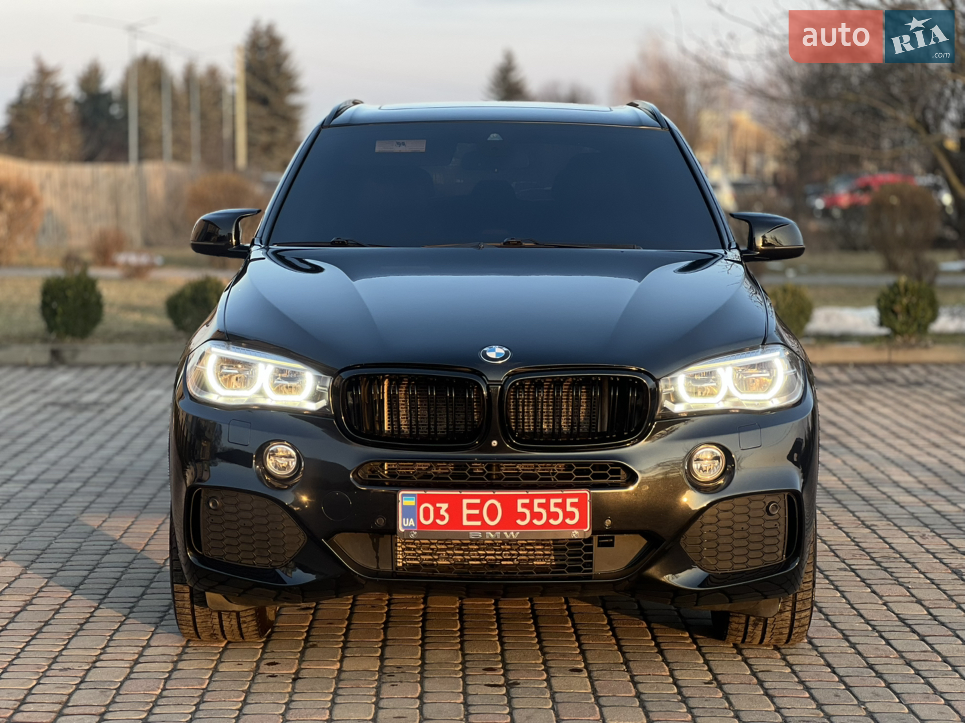 2014 BMW X5 - мініатюра 2