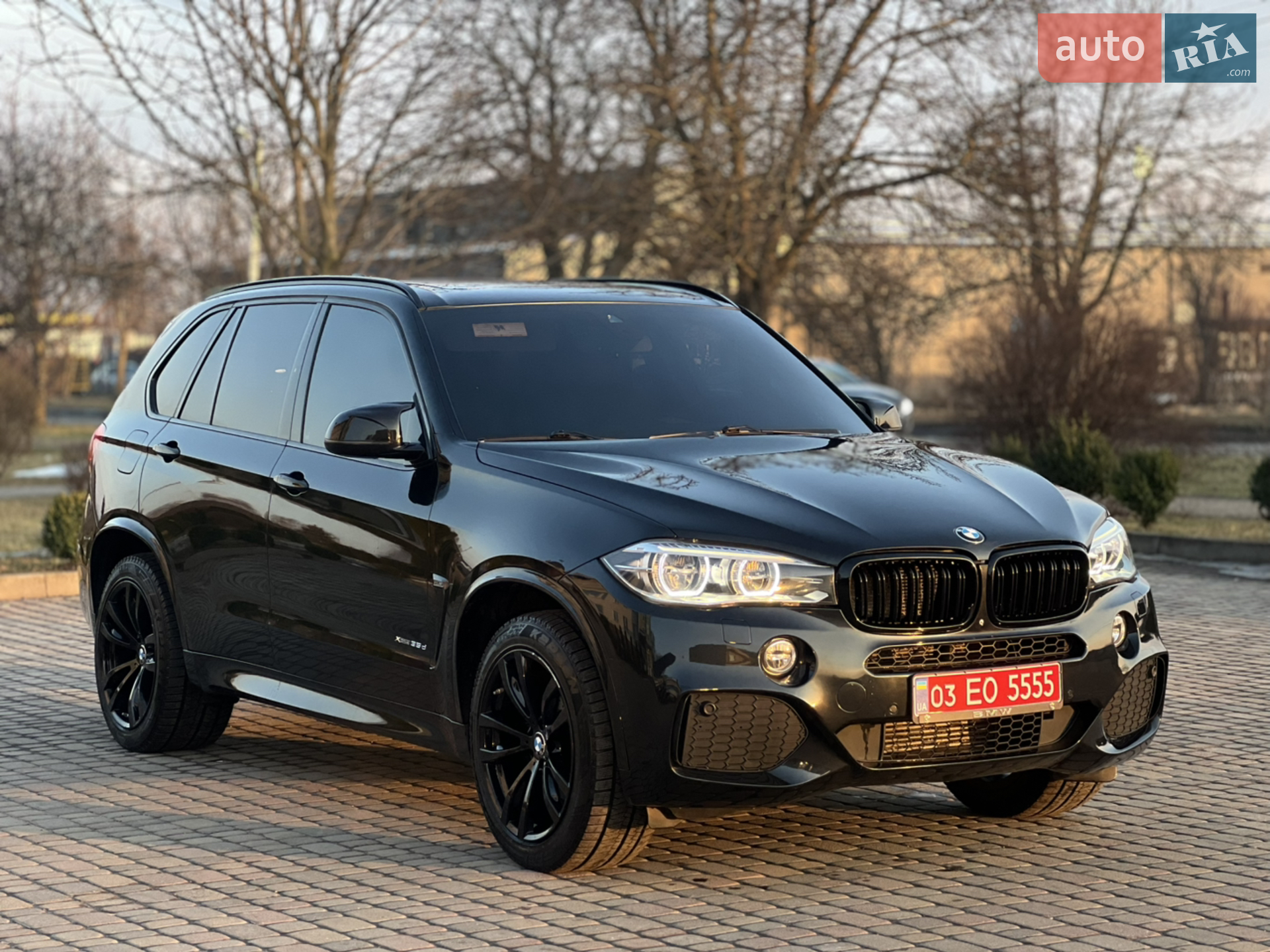 2014 BMW X5 - мініатюра 3