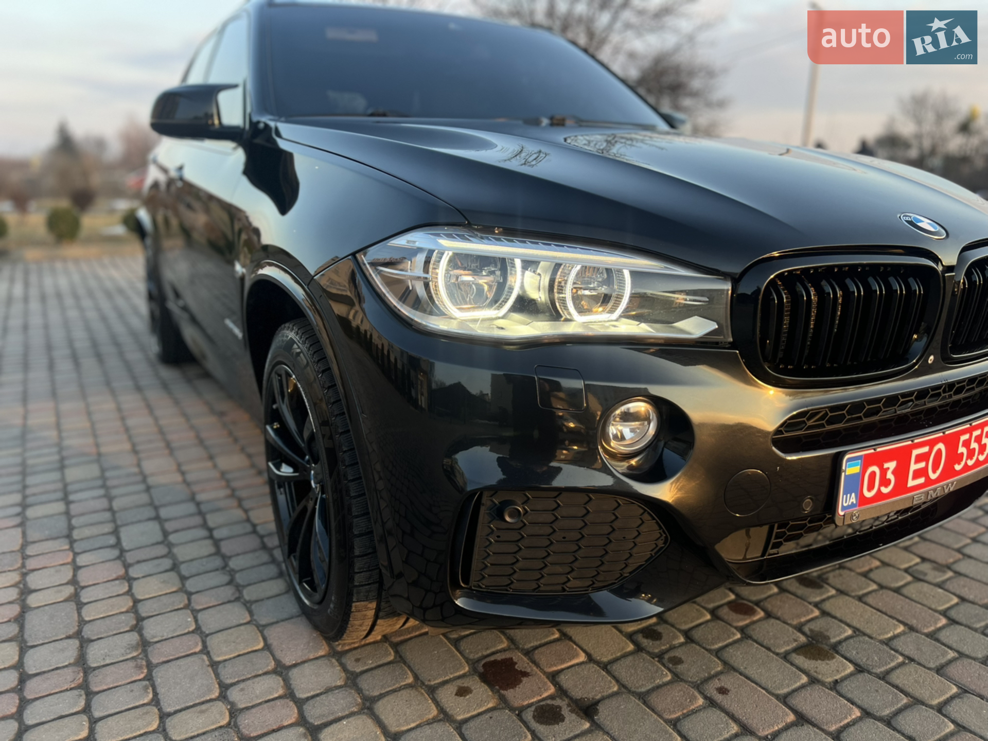 2014 BMW X5 - мініатюра 9