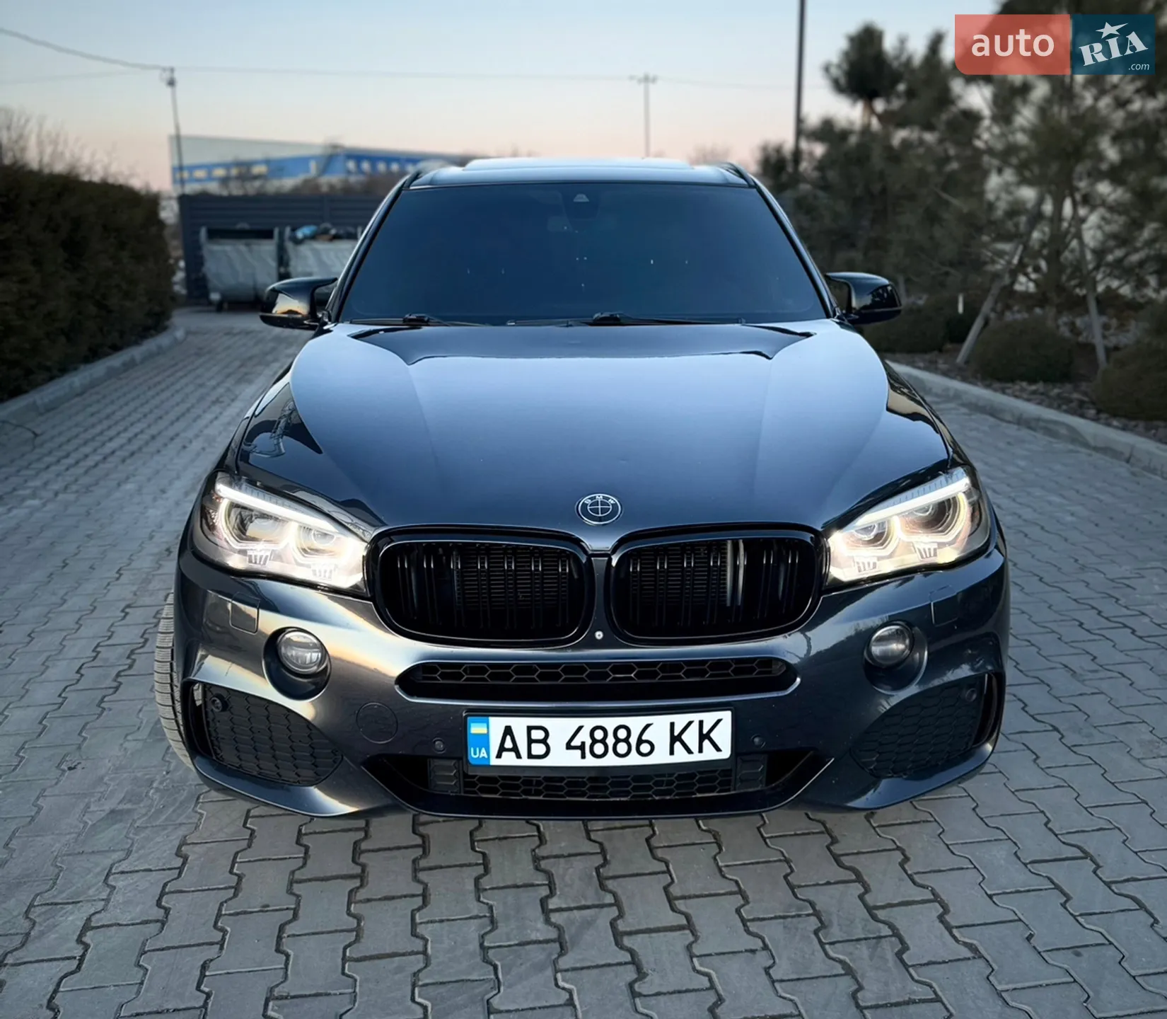 2014 BMW X5 - мініатюра 3