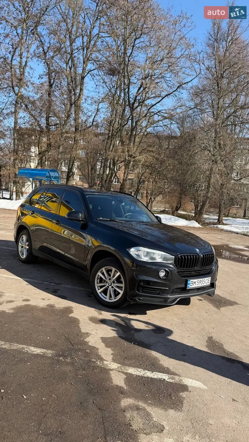 2014 BMW X5 - мініатюра 2