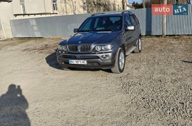 Позашляховик / Кросовер BMW X5 2006 в Гусятині