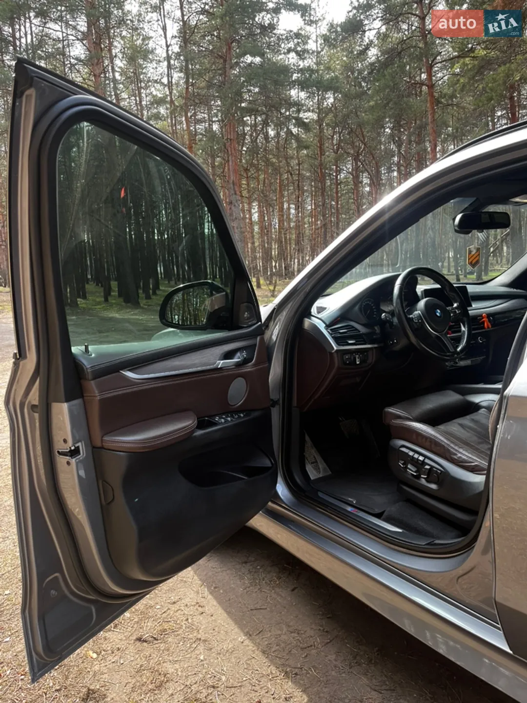 2017 BMW X5 - мініатюра 23