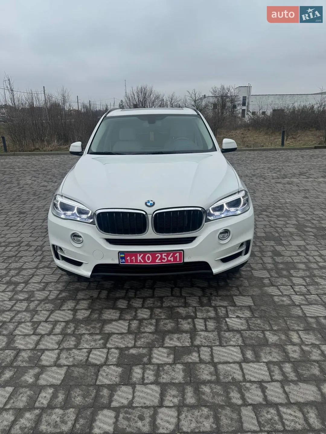 2015 BMW X5 - фото 1