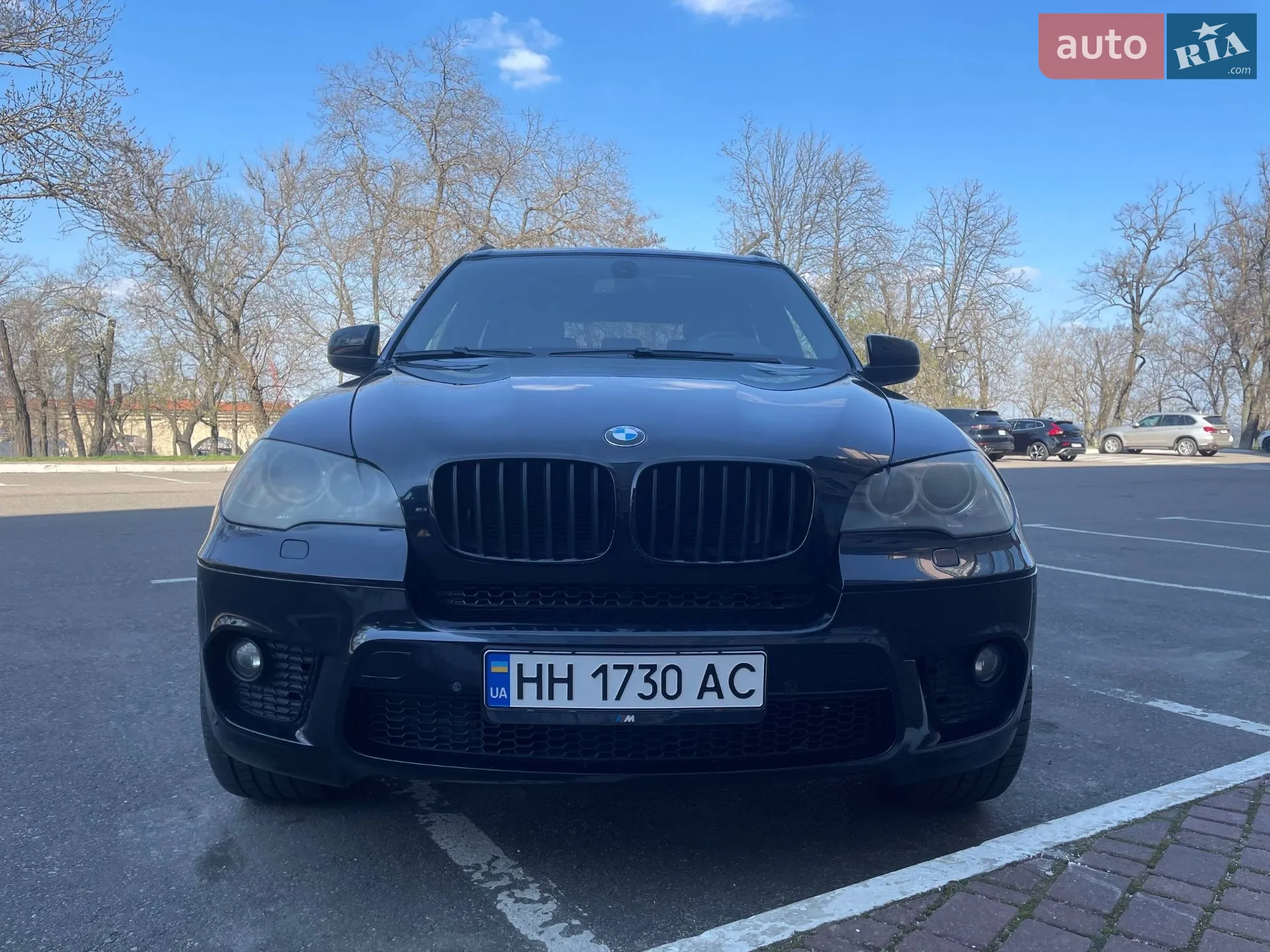 2010 BMW X5 - мініатюра 38