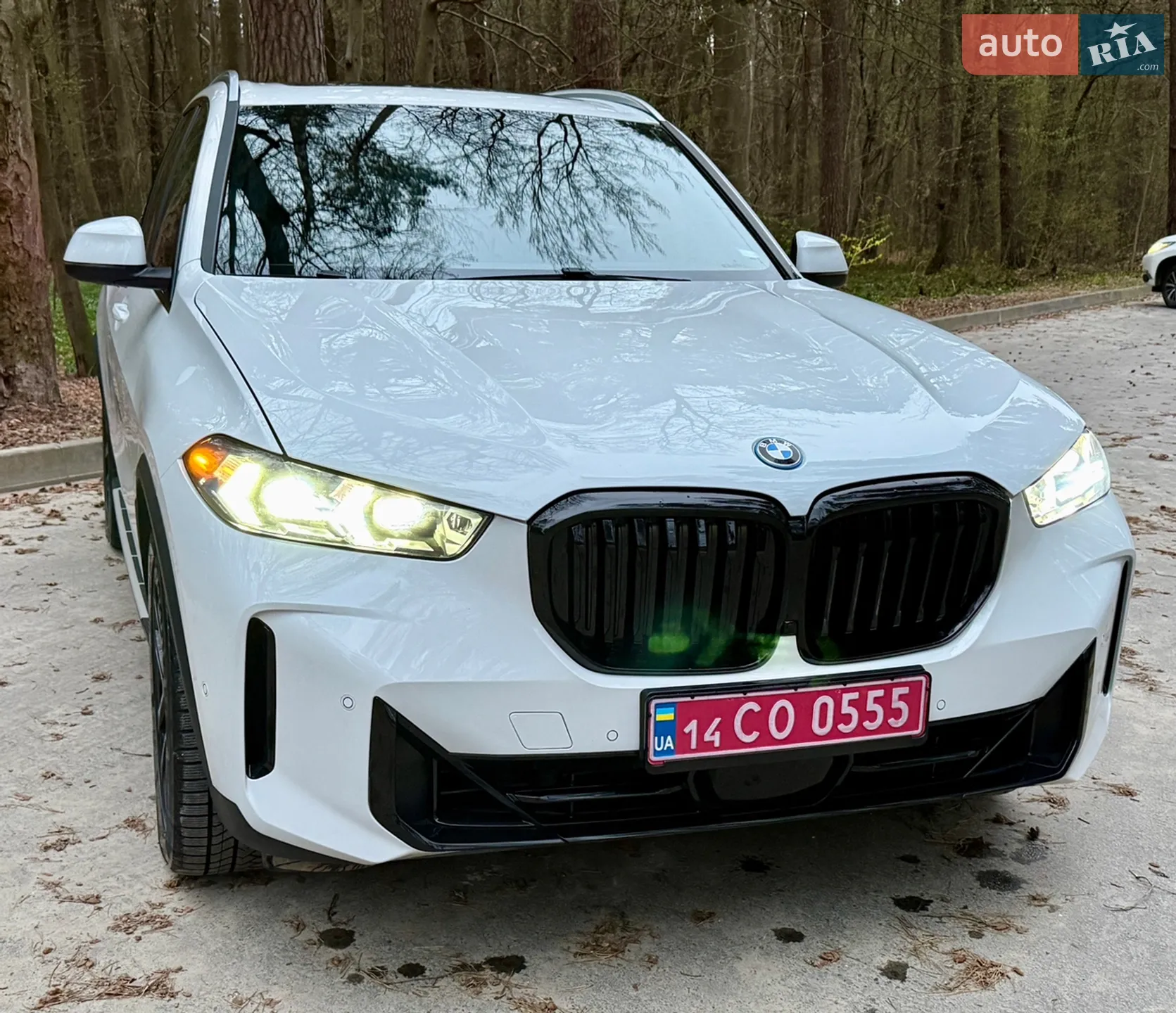 2024 BMW X5 - мініатюра 9