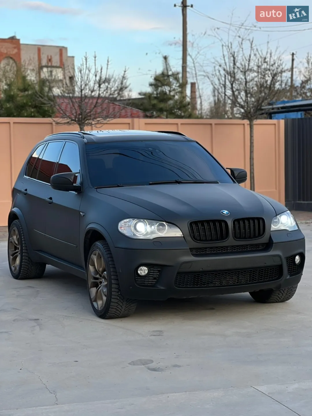 2010 BMW X5 - мініатюра 2