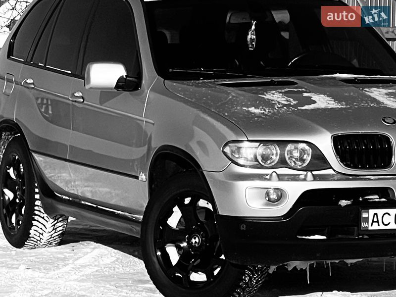 Позашляховик / Кросовер BMW X5 2004 в Березному
