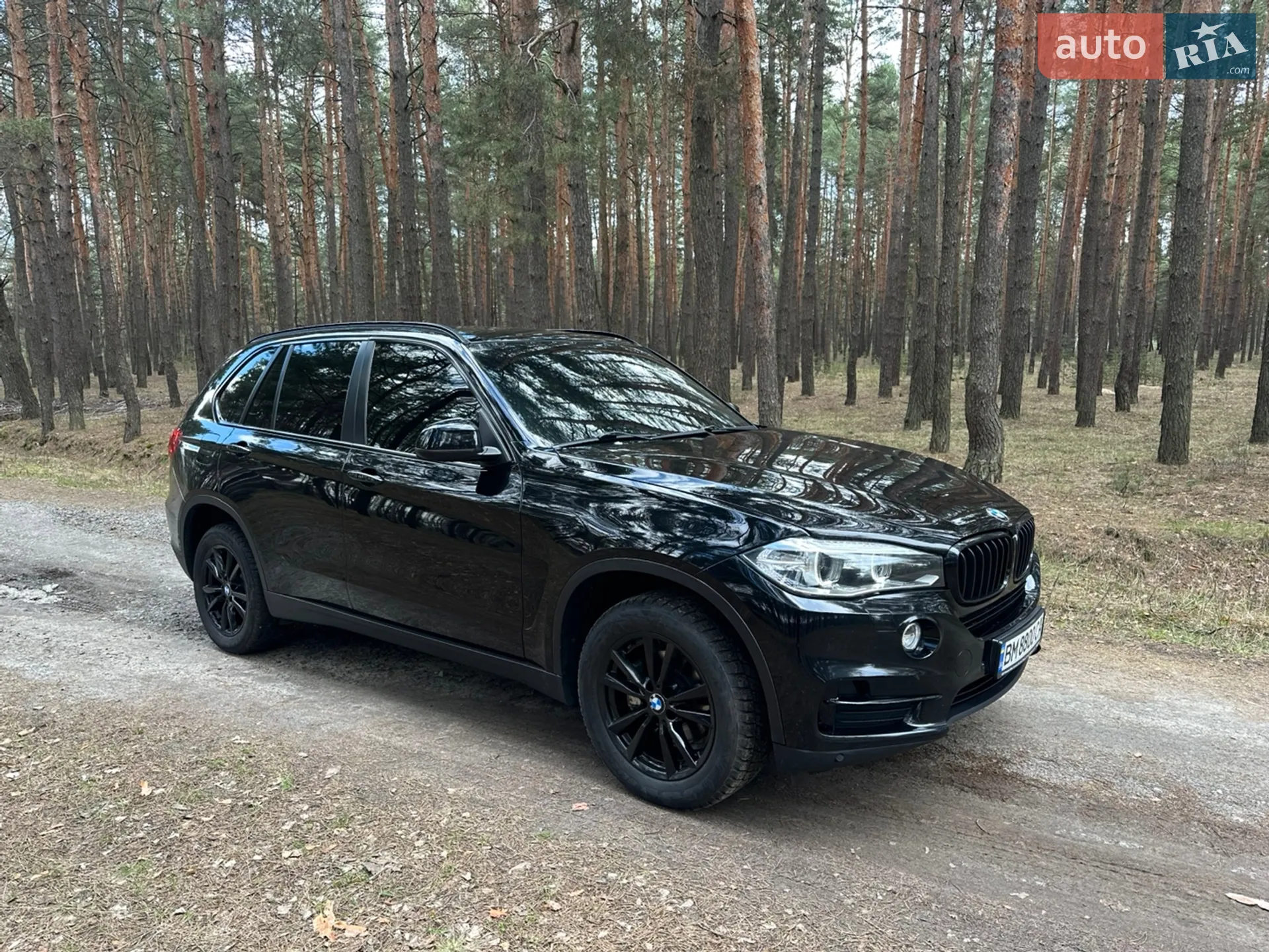 2014 BMW X5 - мініатюра 6