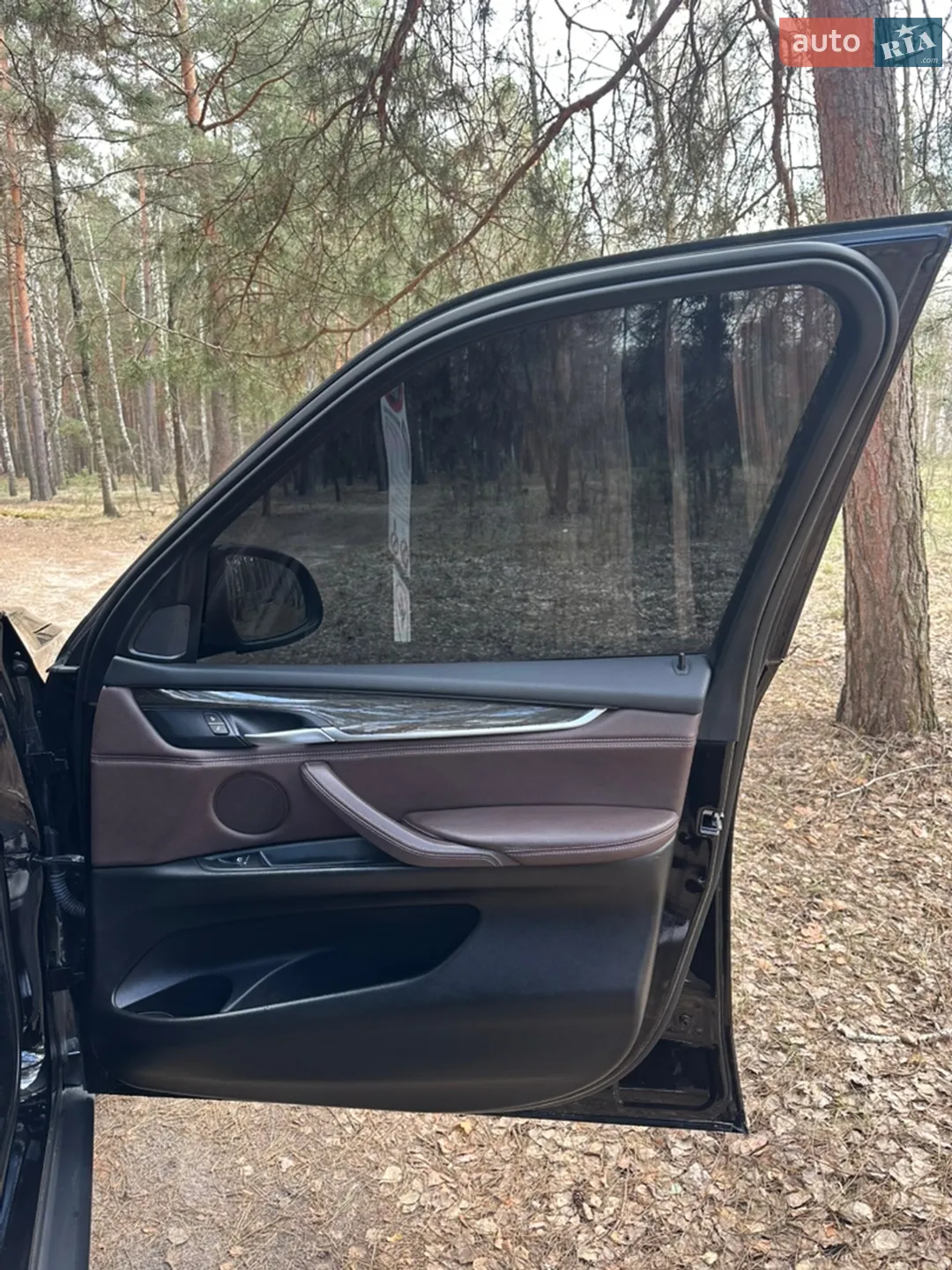 2014 BMW X5 - мініатюра 38