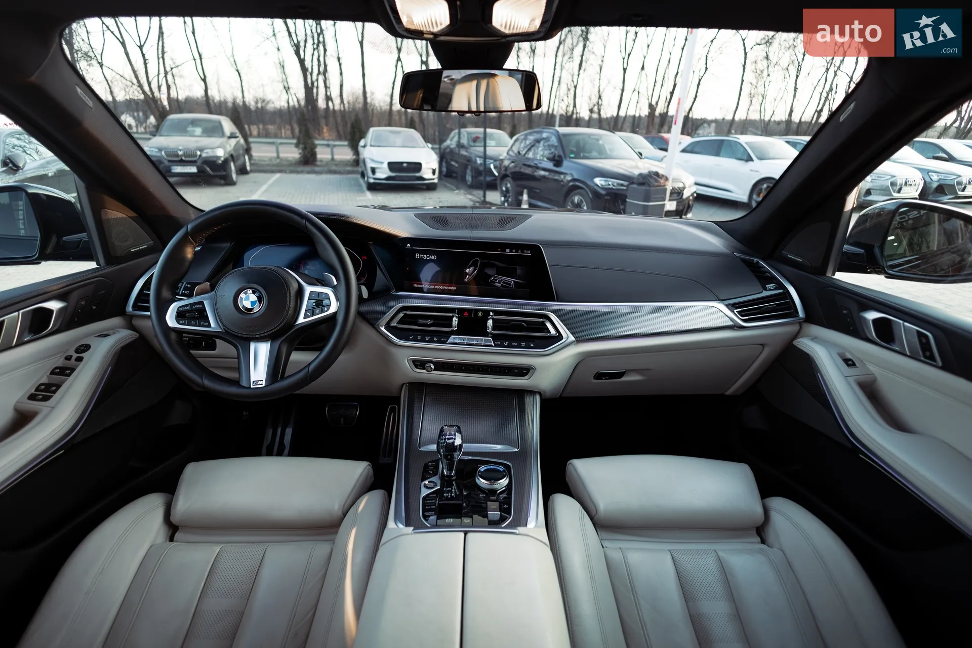 2019 BMW X5 - мініатюра 31