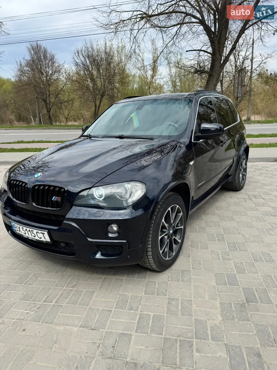 2010 BMW X5 - фото 1
