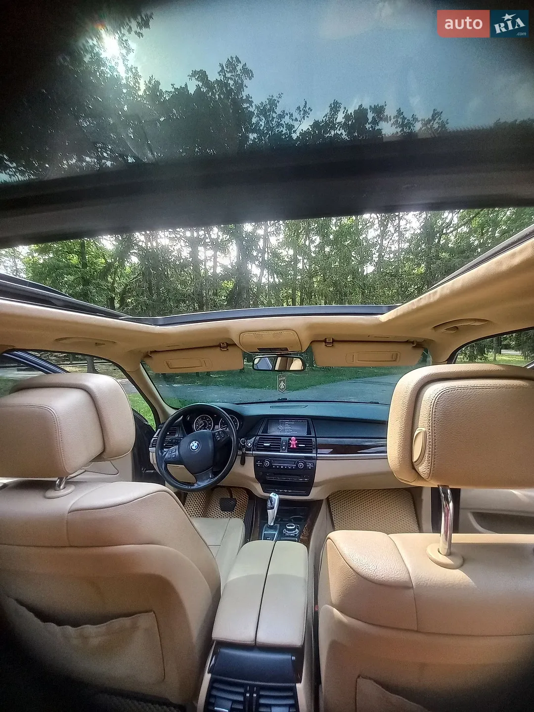2010 BMW X5 - мініатюра 12