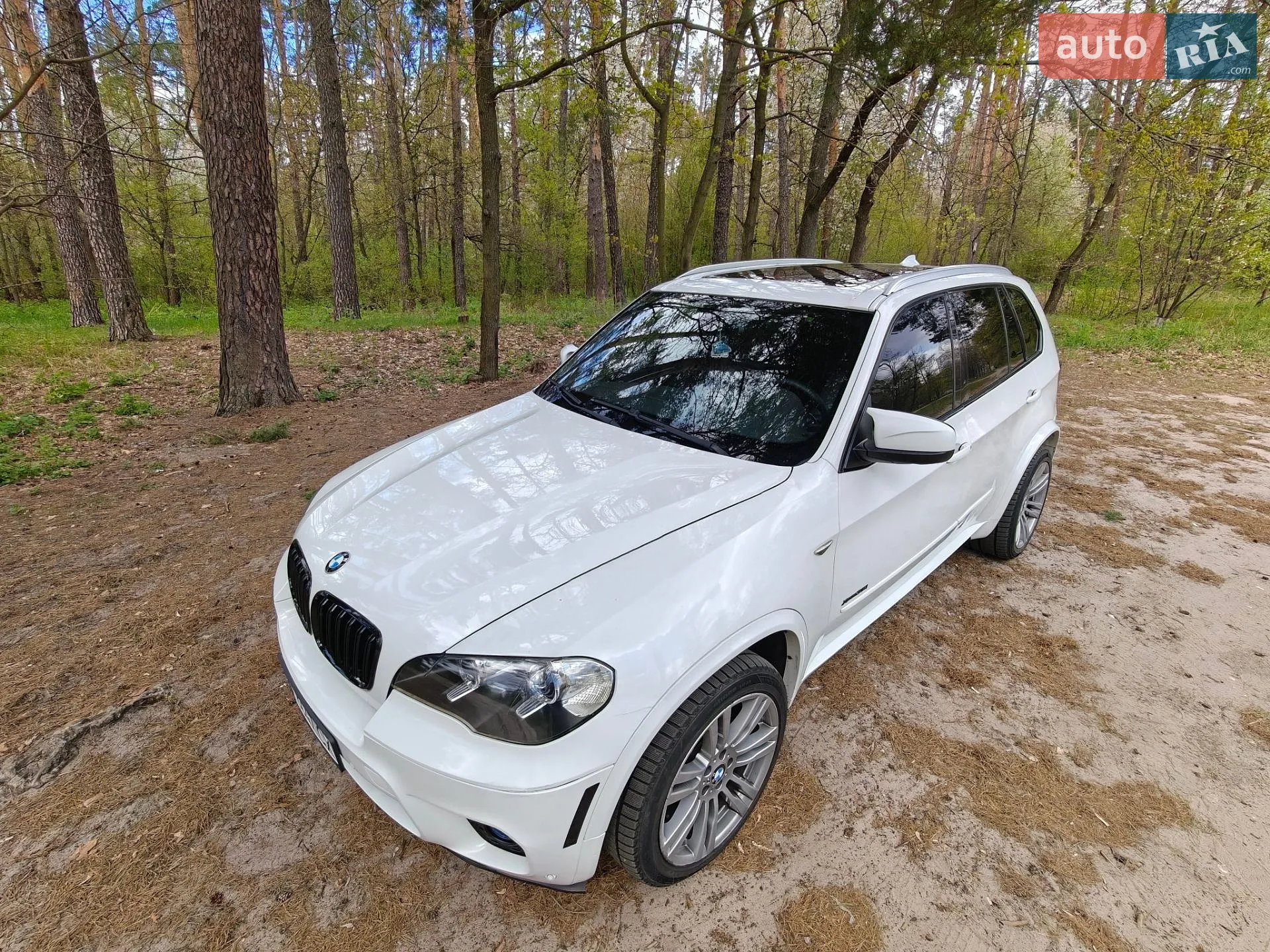 2011 BMW X5 - мініатюра 54