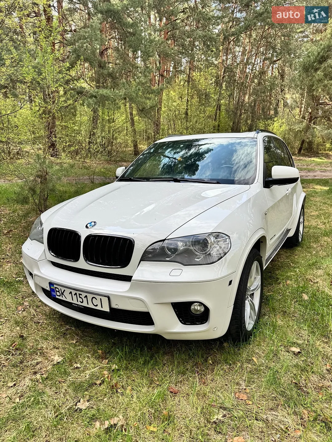 2011 BMW X5 - мініатюра 2