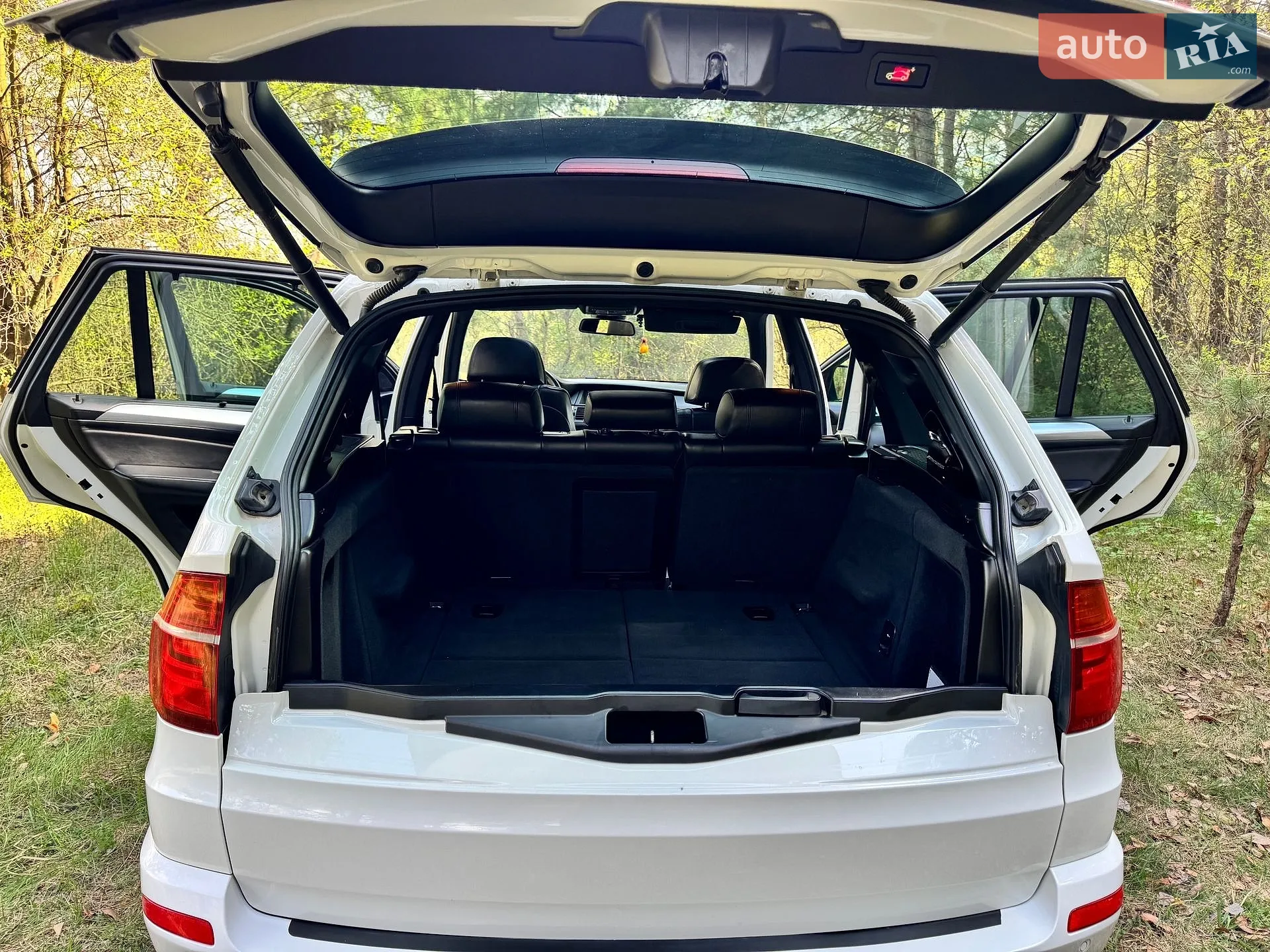 2011 BMW X5 - мініатюра 18