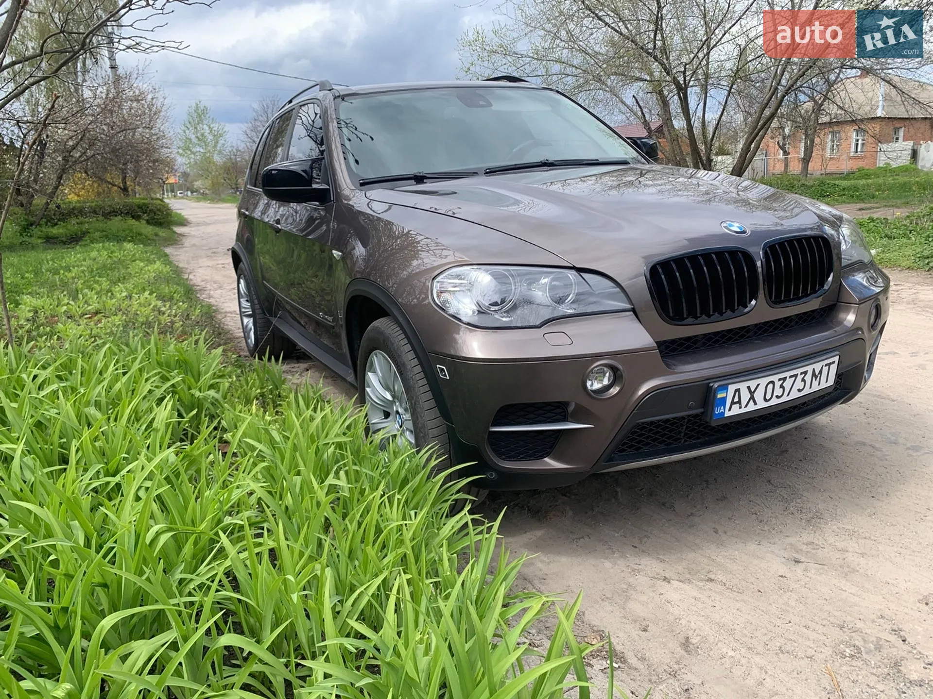 2010 BMW X5 - мініатюра 2