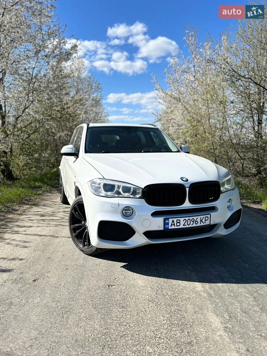 2015 BMW X5 - фото 1