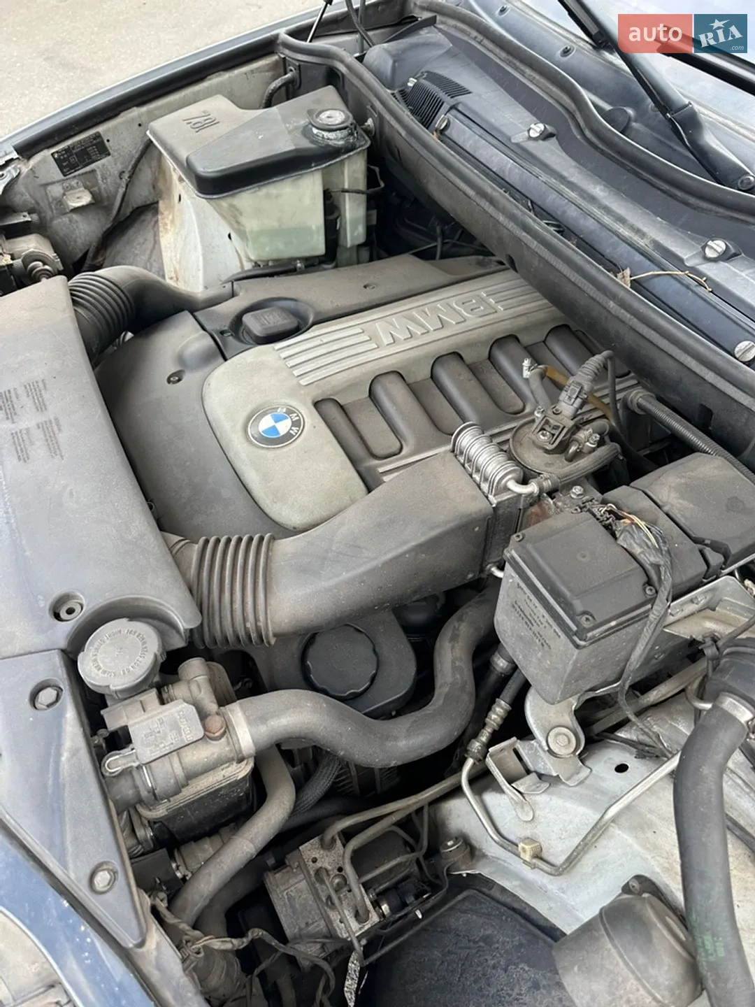 BMW X5 2003 VIN WBAFA71010LU85405 фото оголошення 22 з 23