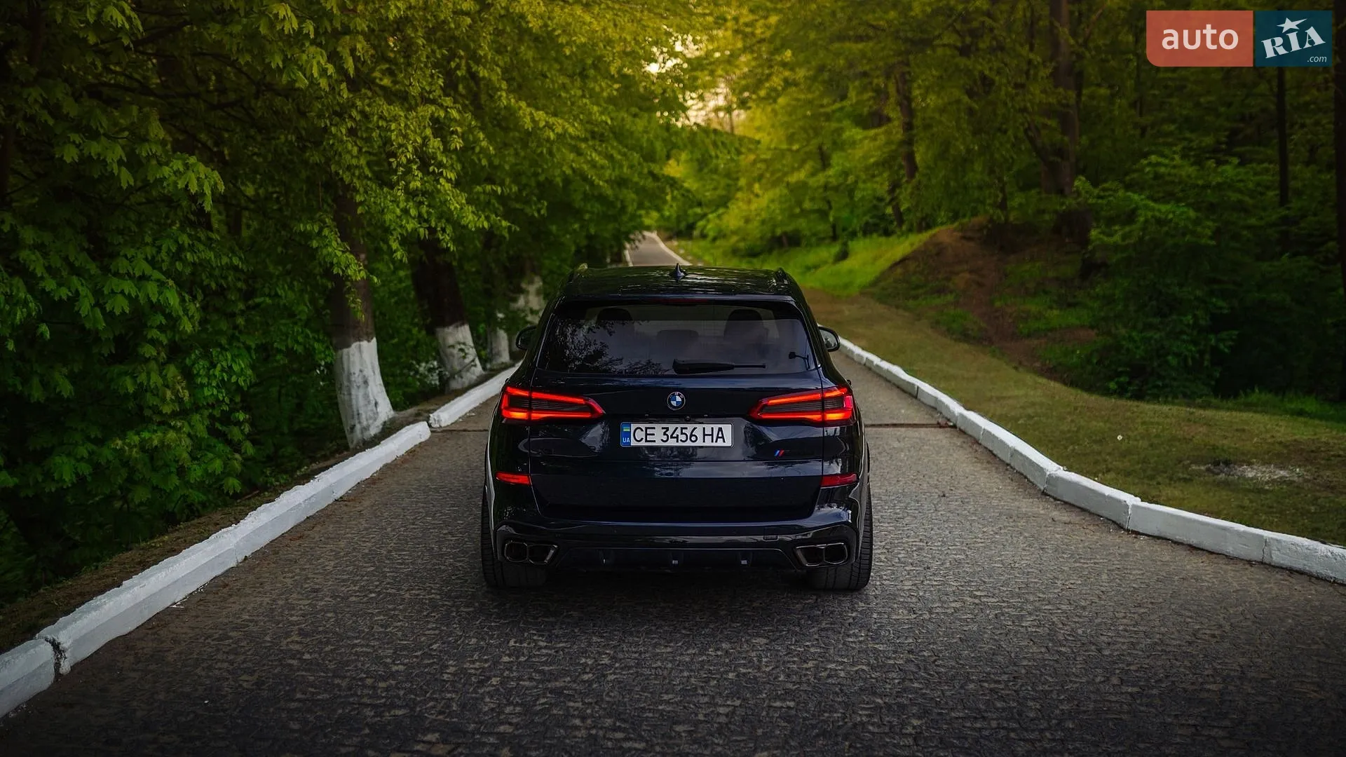 2019 BMW X5 - мініатюра 11