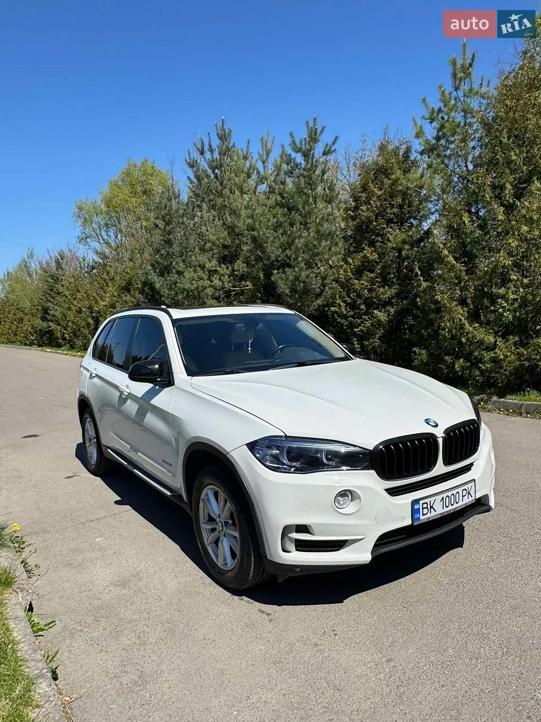 2014 BMW X5 - мініатюра 2