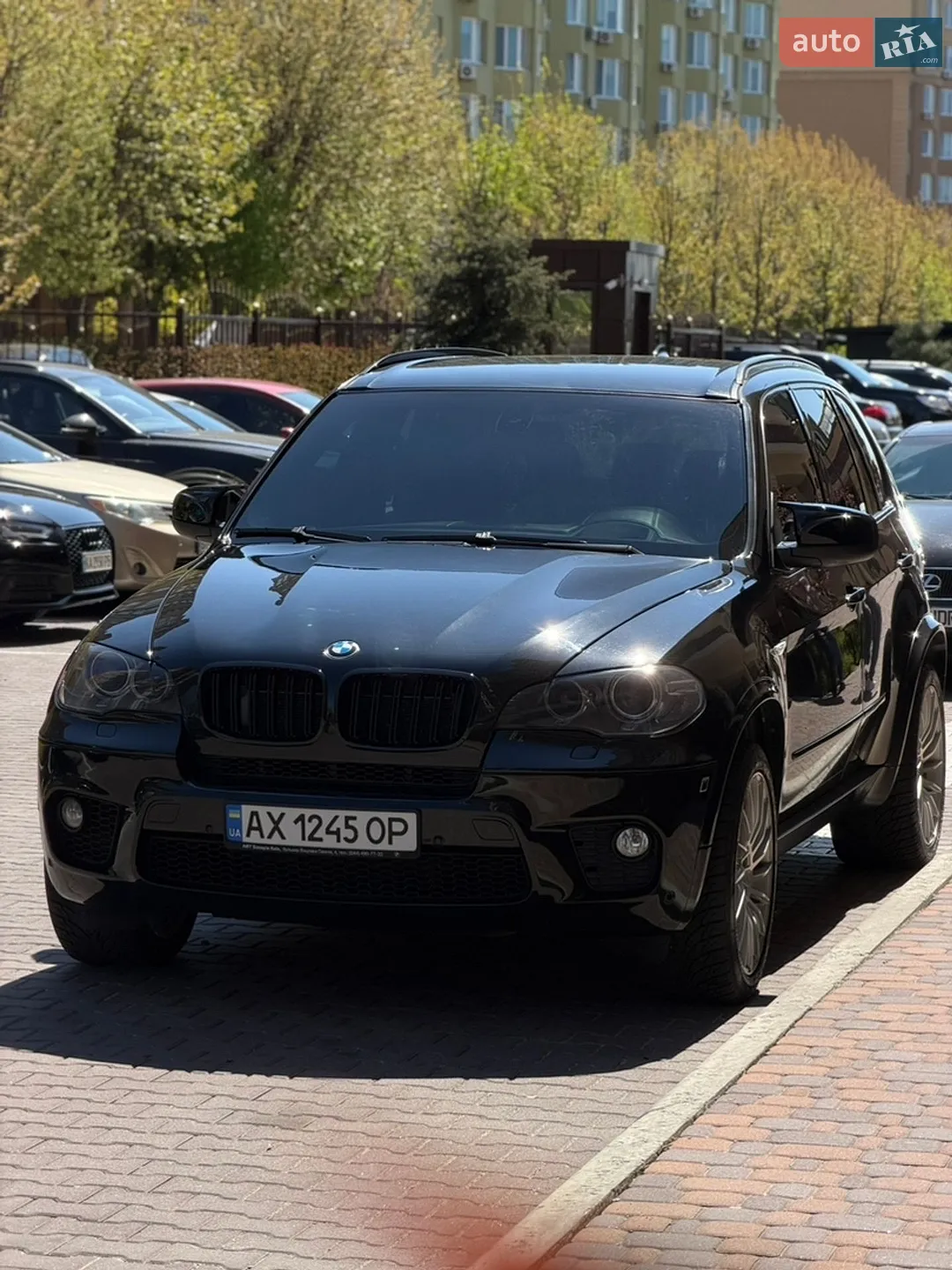 2010 BMW X5 - мініатюра 2