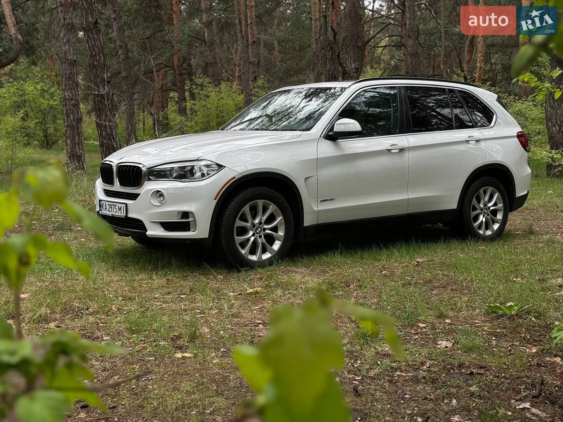 2015 BMW X5 - мініатюра 2