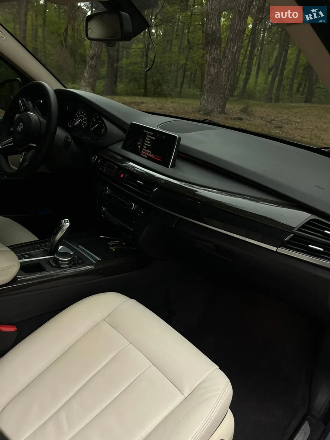 2014 BMW X5 - мініатюра 10