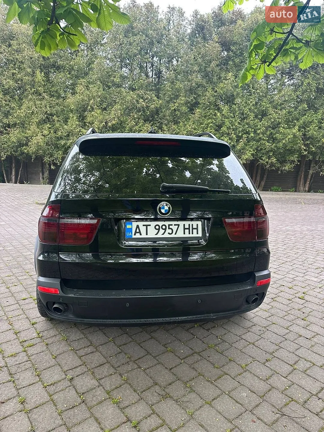 2010 BMW X5 - мініатюра 3