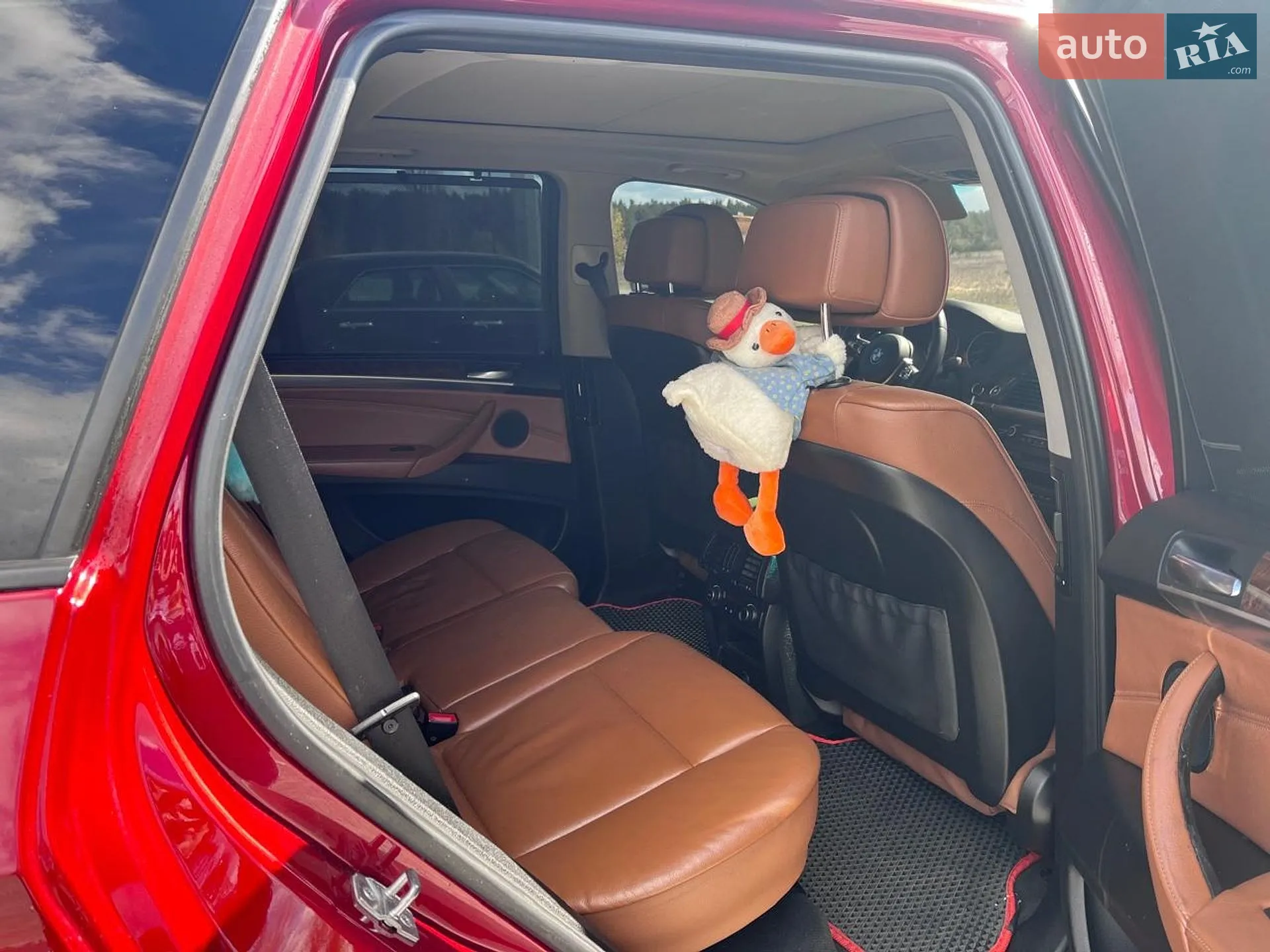 2010 BMW X5 - мініатюра 14