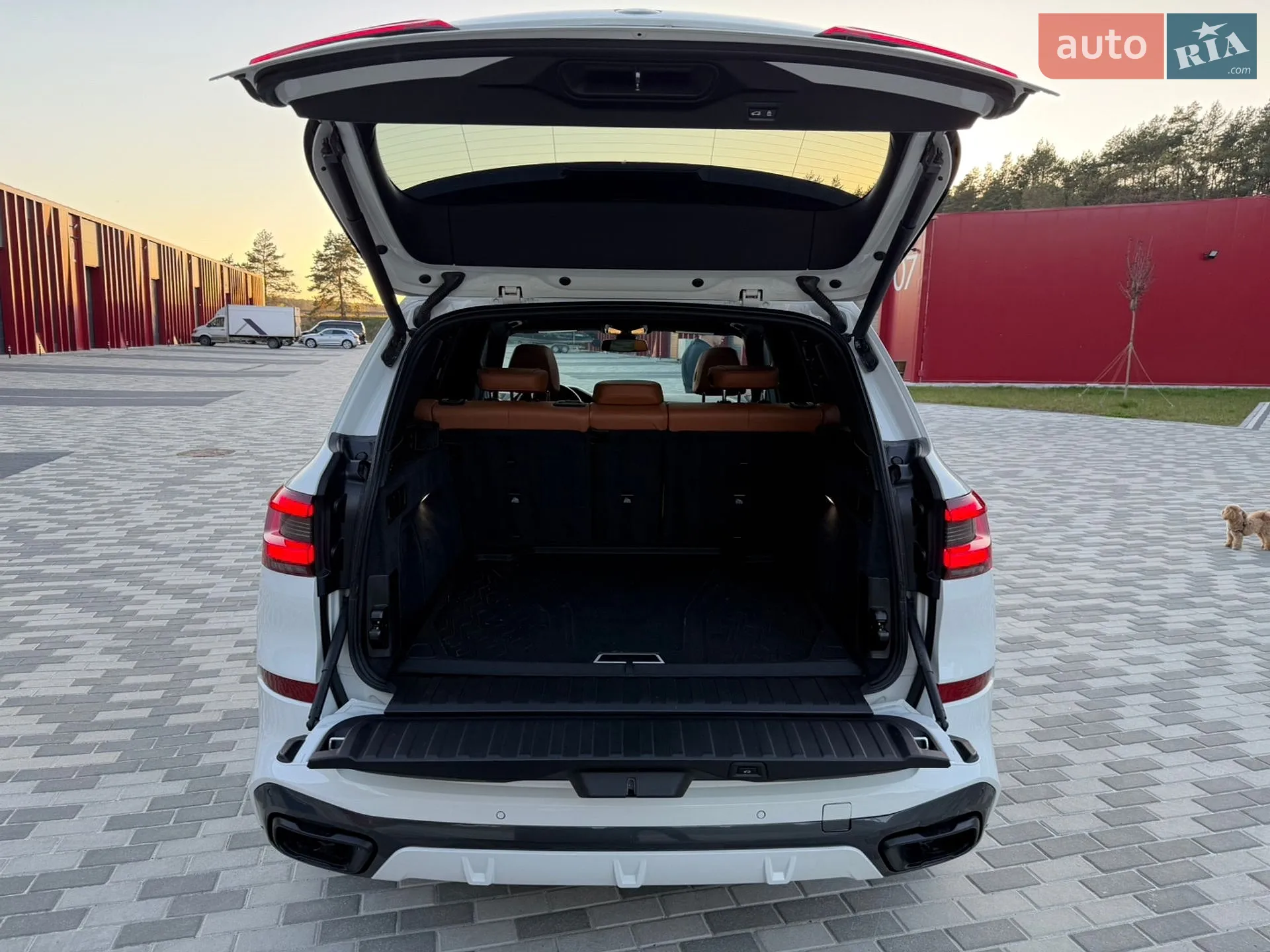 2018 BMW X5 - мініатюра 38