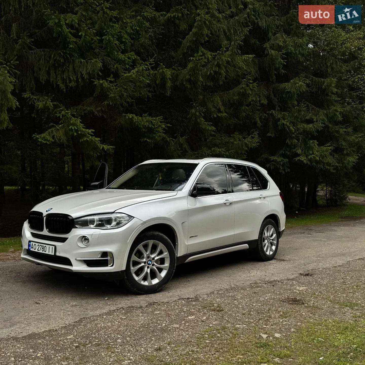 2014 BMW X5 - мініатюра 4