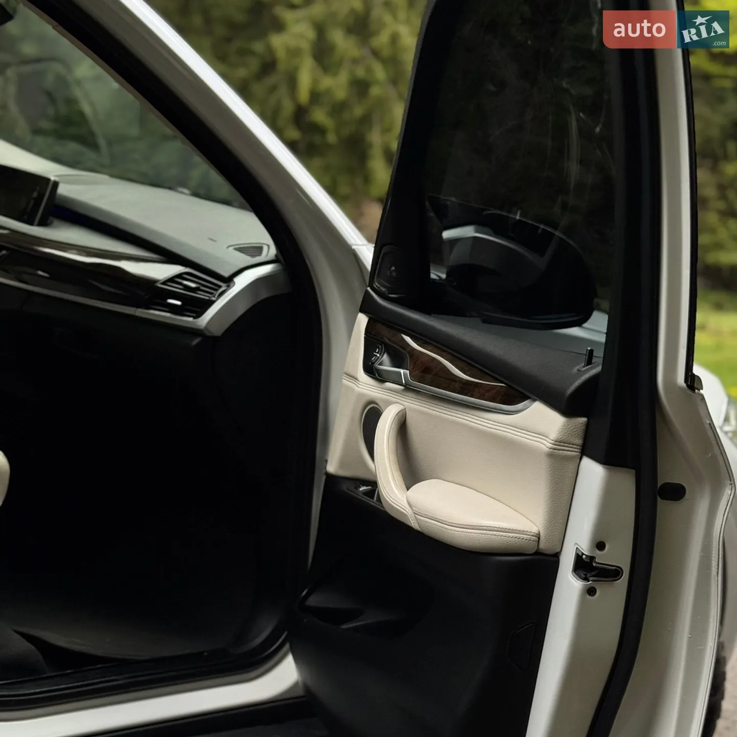2014 BMW X5 - мініатюра 18