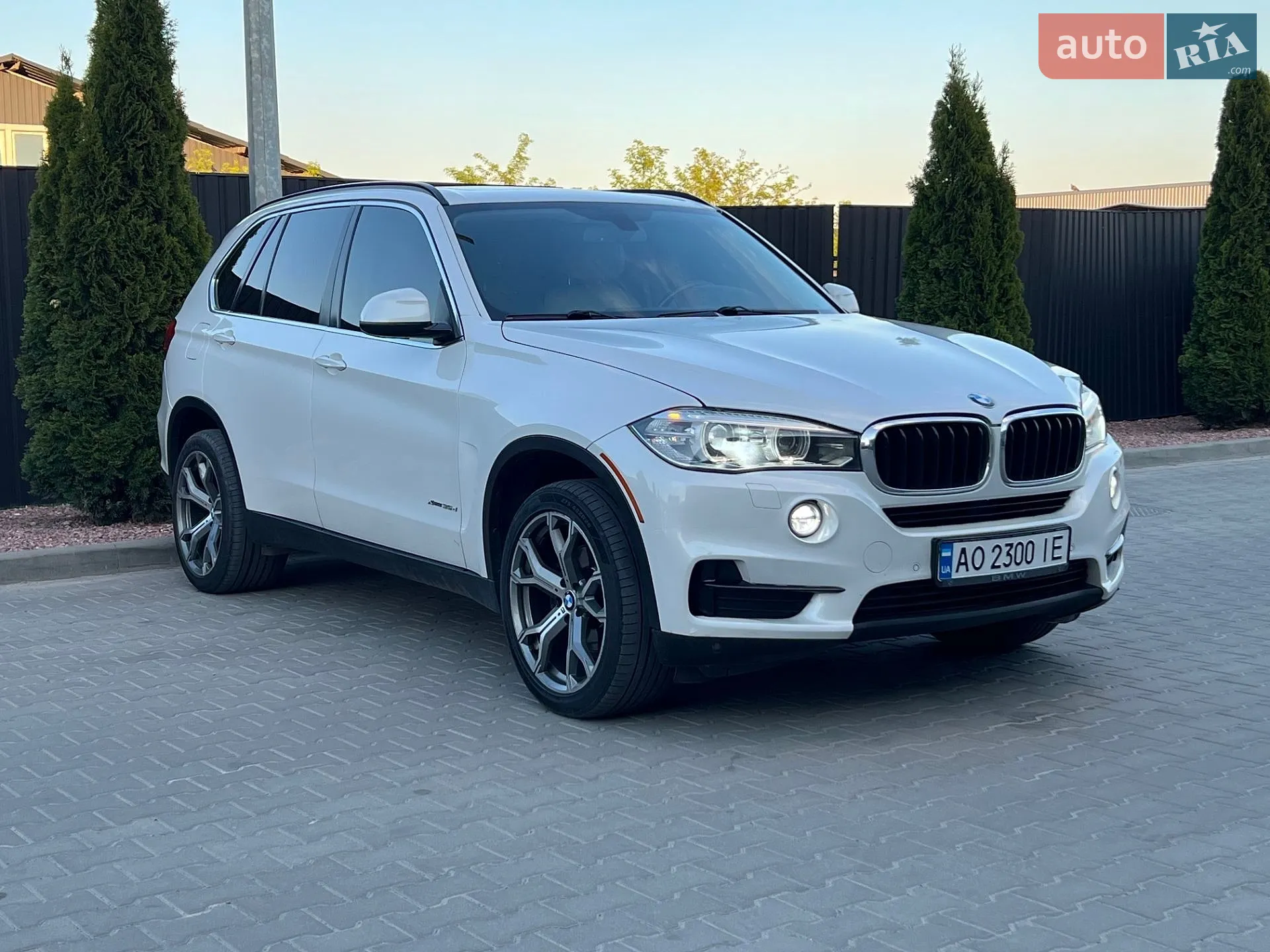2014 BMW X5 - мініатюра 13