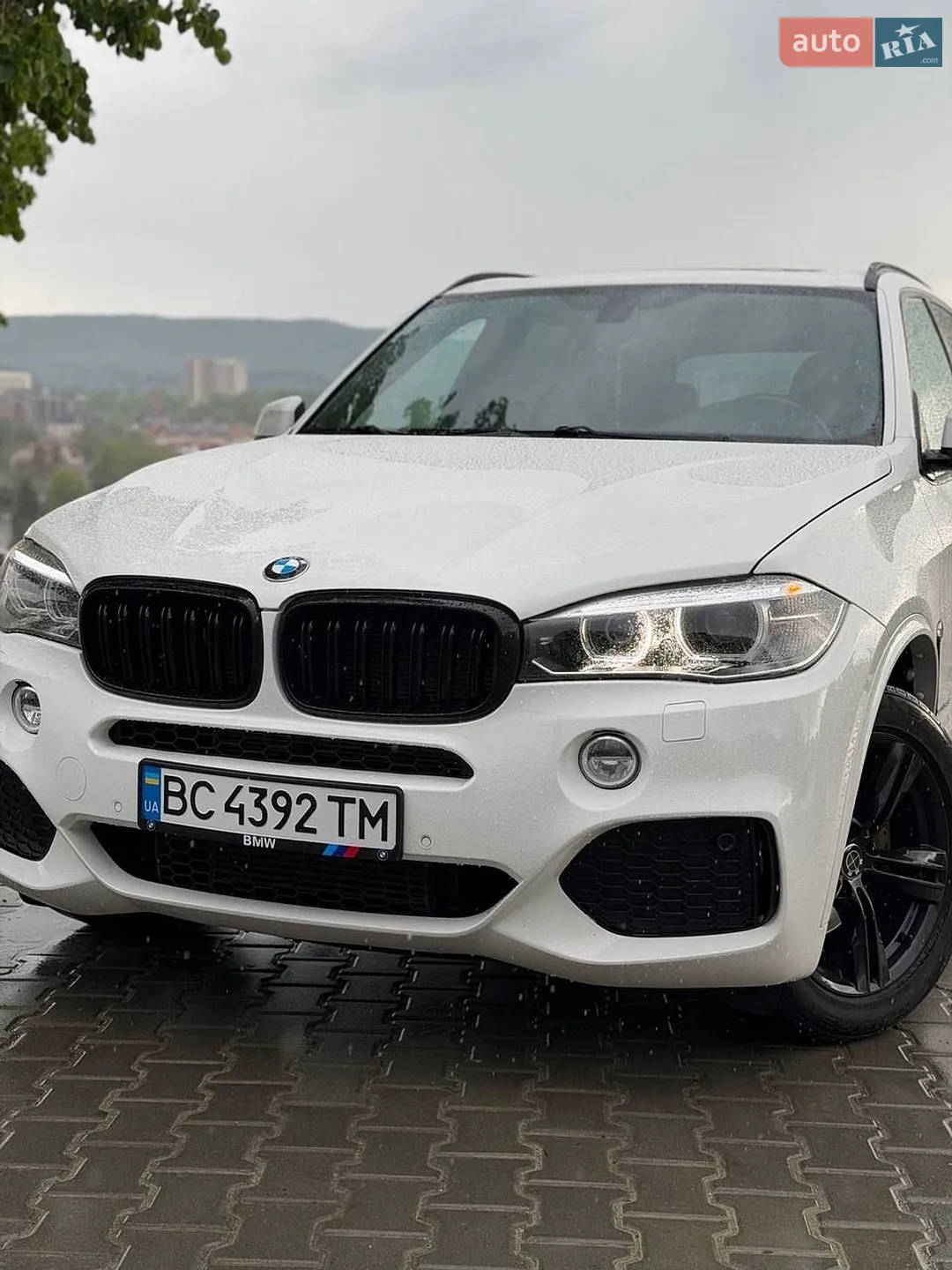 2015 BMW X5 - фото 1