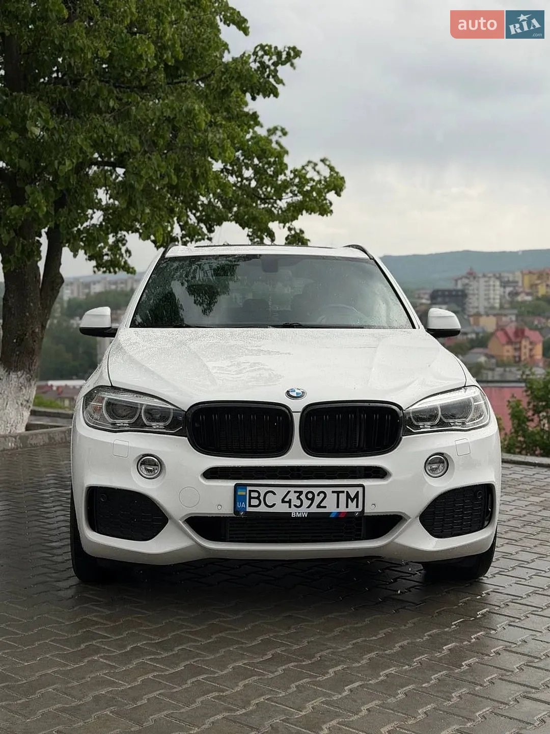 2015 BMW X5 - мініатюра 14