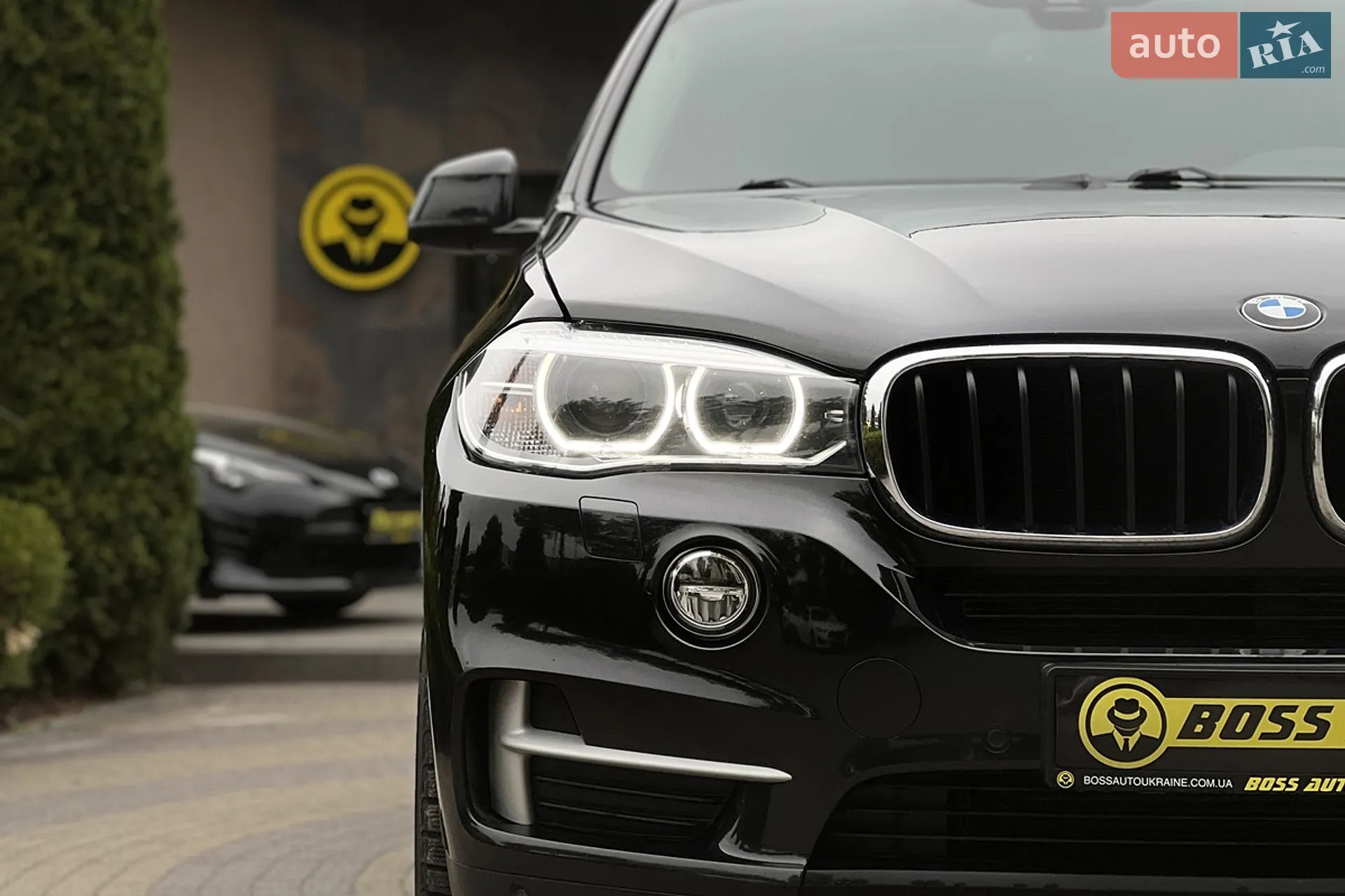 2013 BMW X5 - мініатюра 9