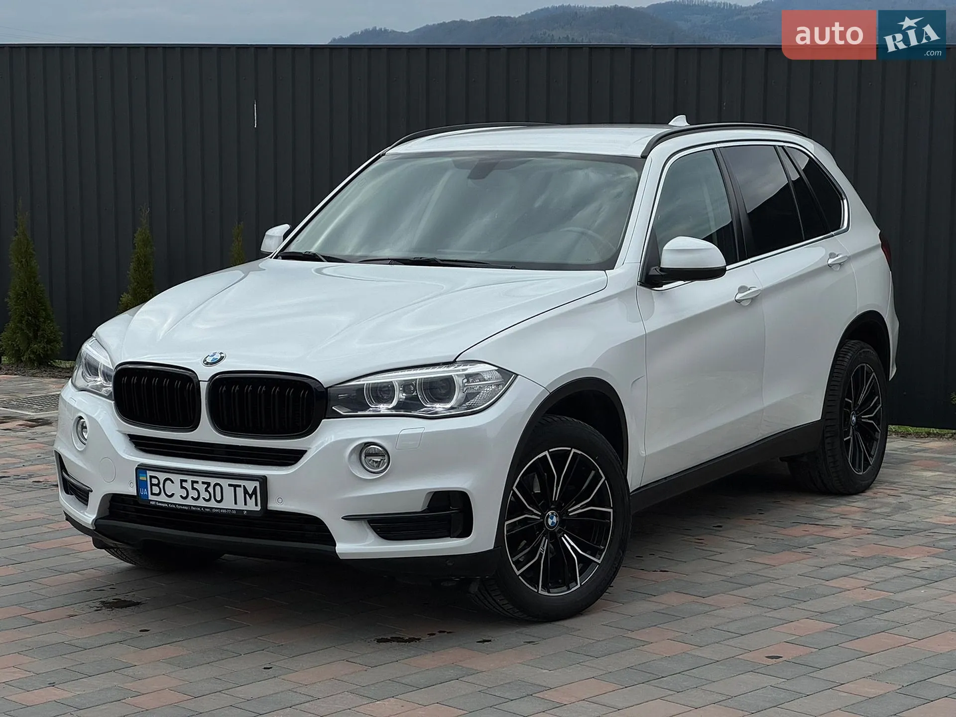 2015 BMW X5 - мініатюра 5