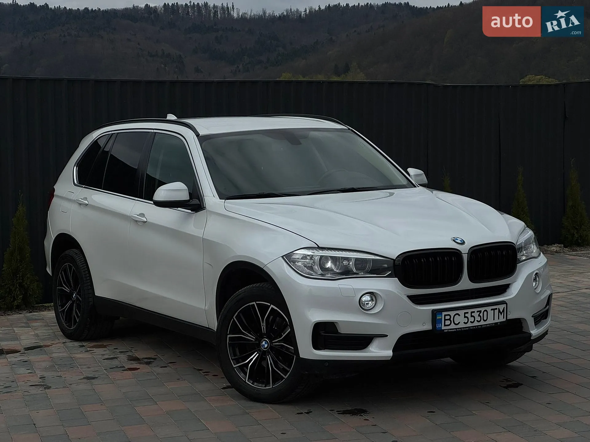 2015 BMW X5 - мініатюра 13
