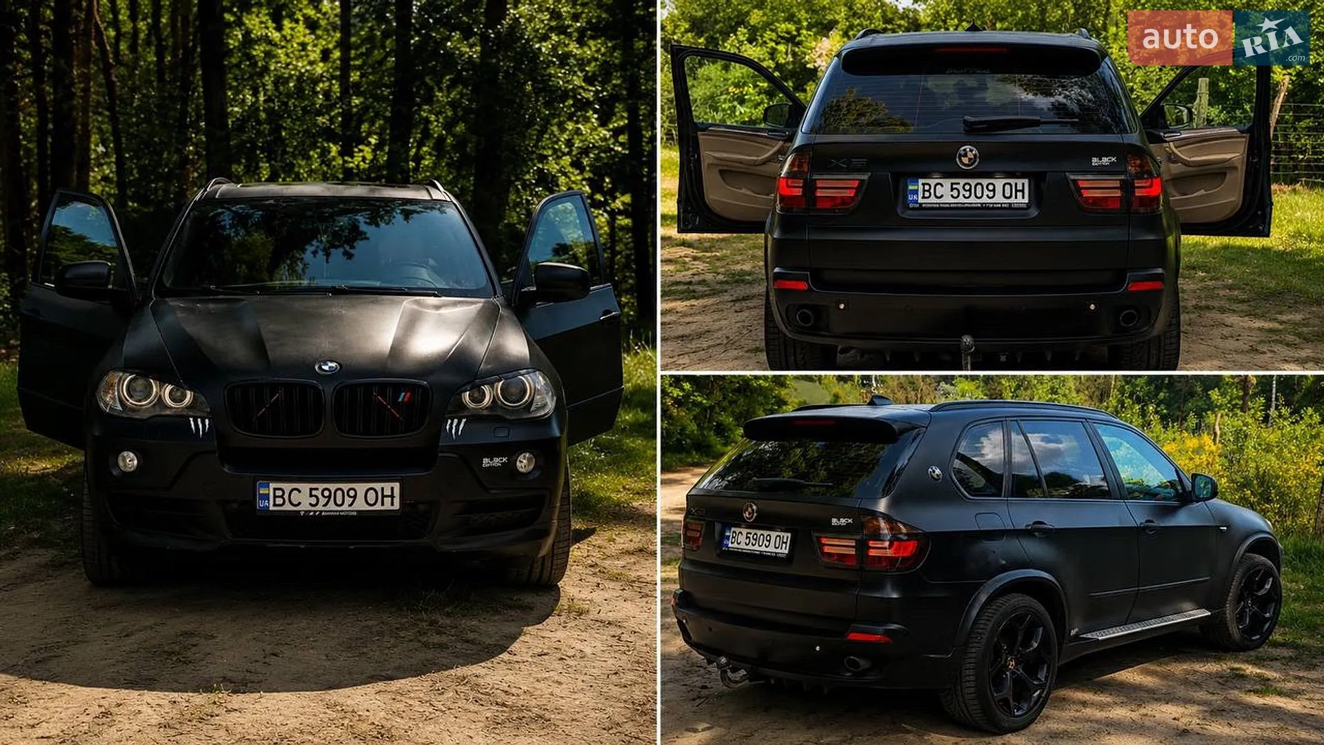 2010 BMW X5 - мініатюра 4