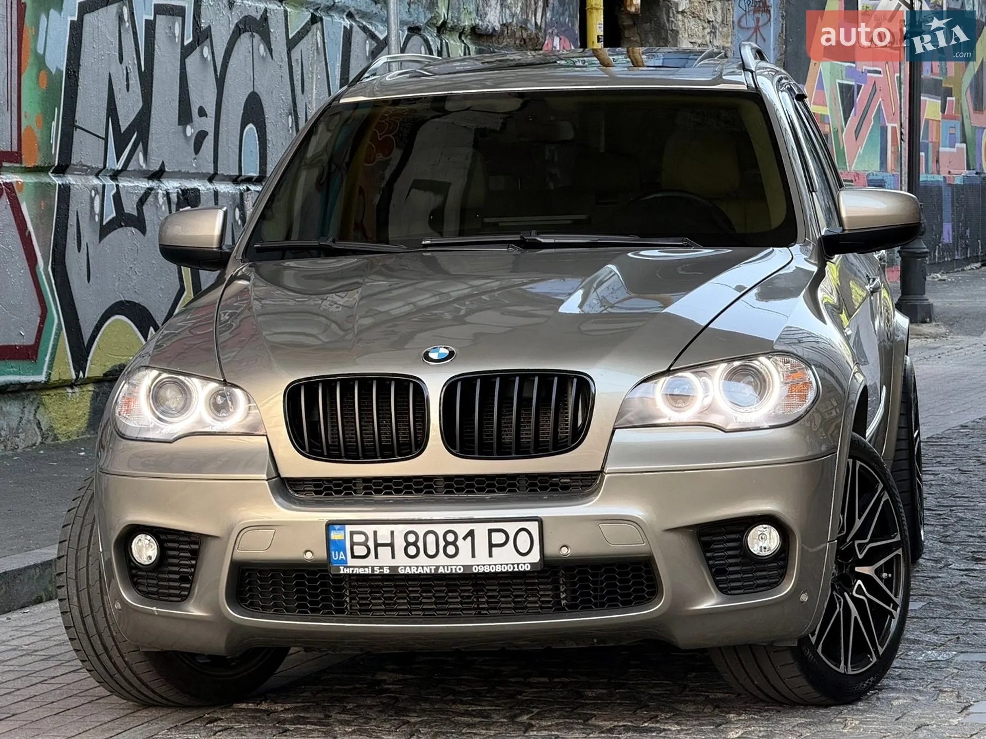 2010 BMW X5 - мініатюра 16