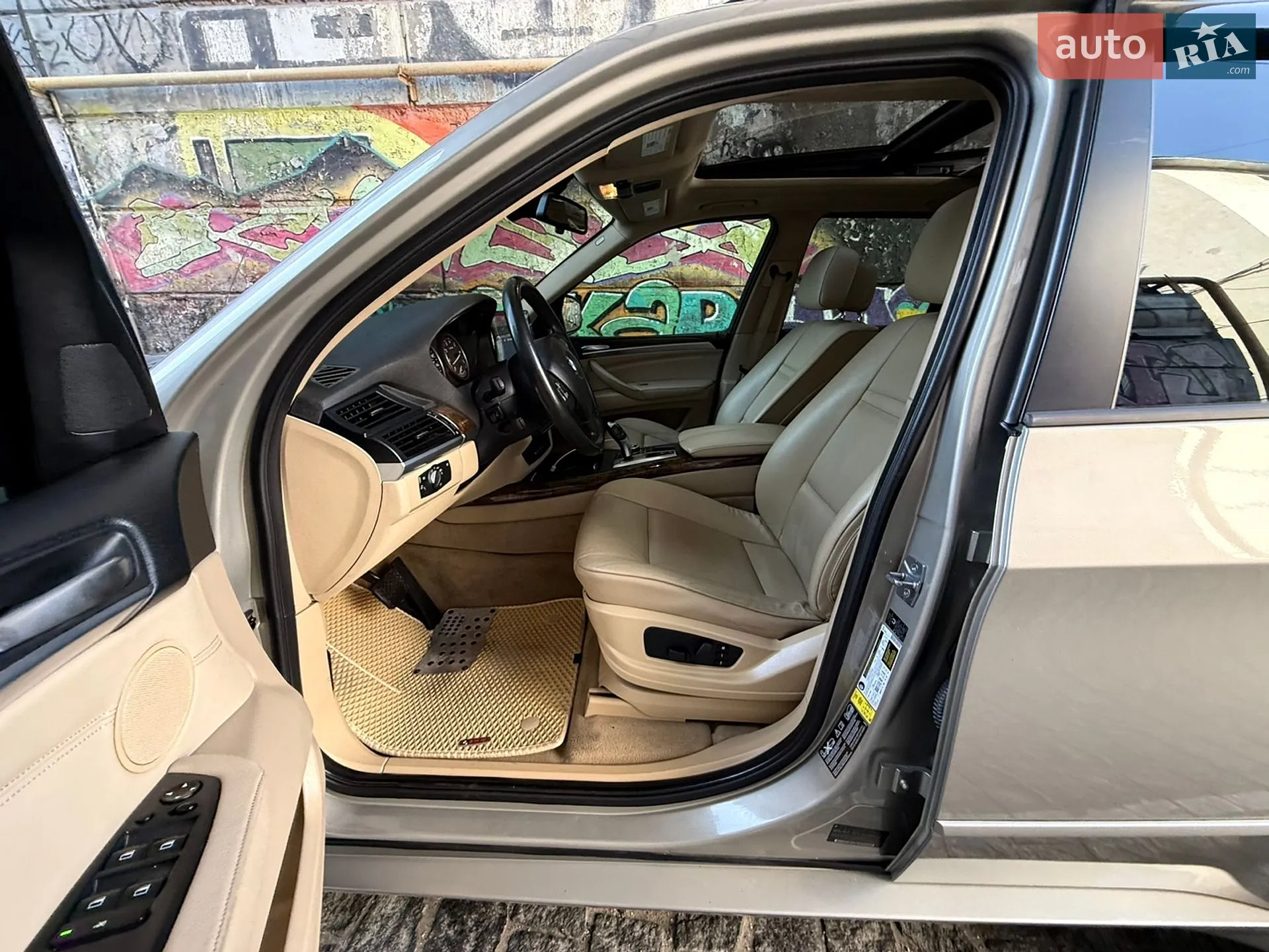 2010 BMW X5 - мініатюра 50