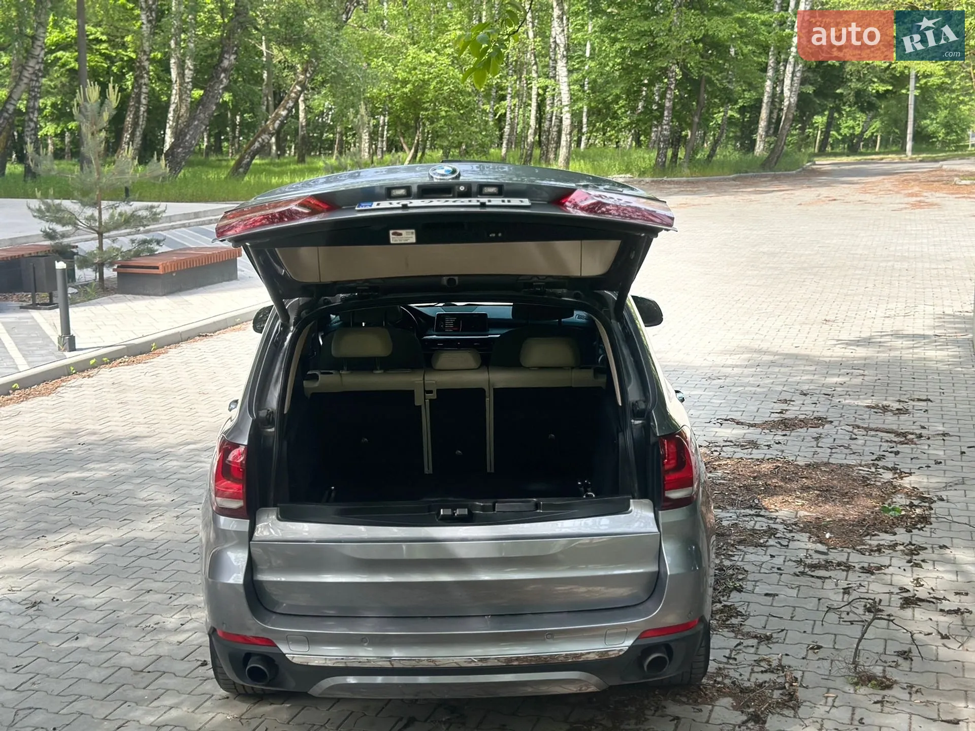 2013 BMW X5 - мініатюра 31
