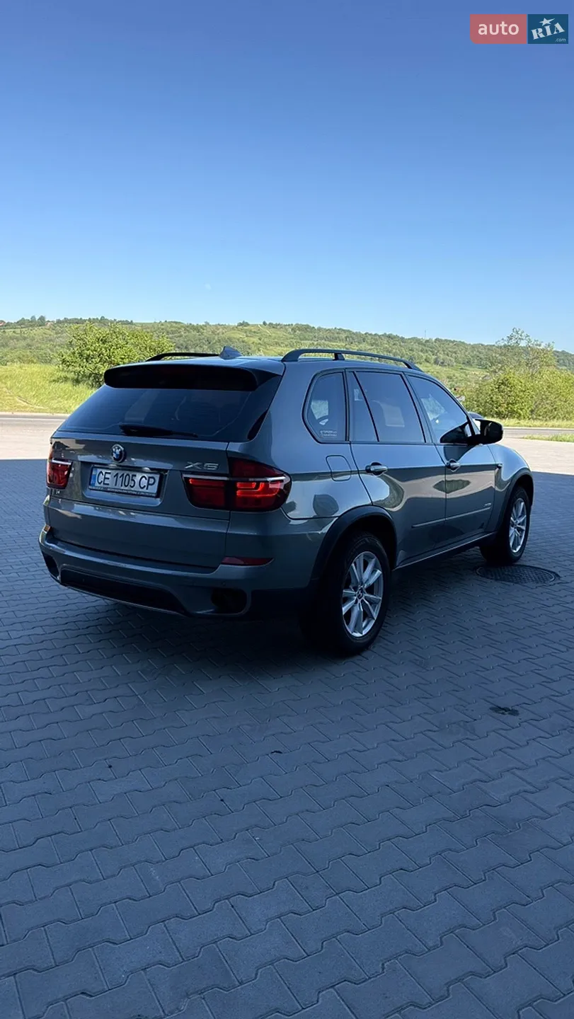 2010 BMW X5 - мініатюра 7