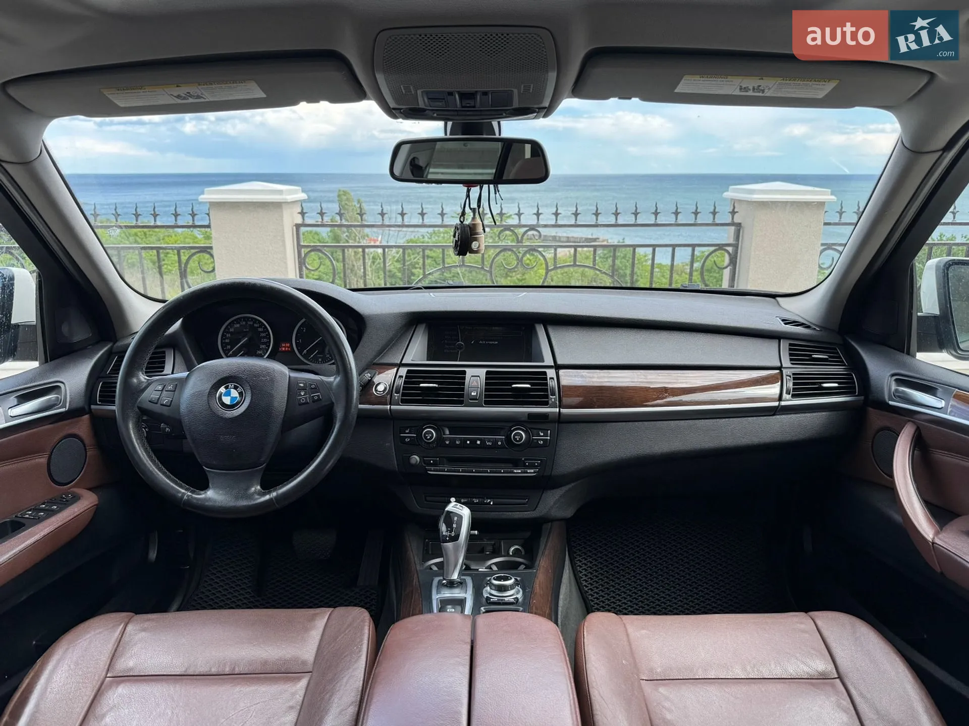 2010 BMW X5 - мініатюра 11