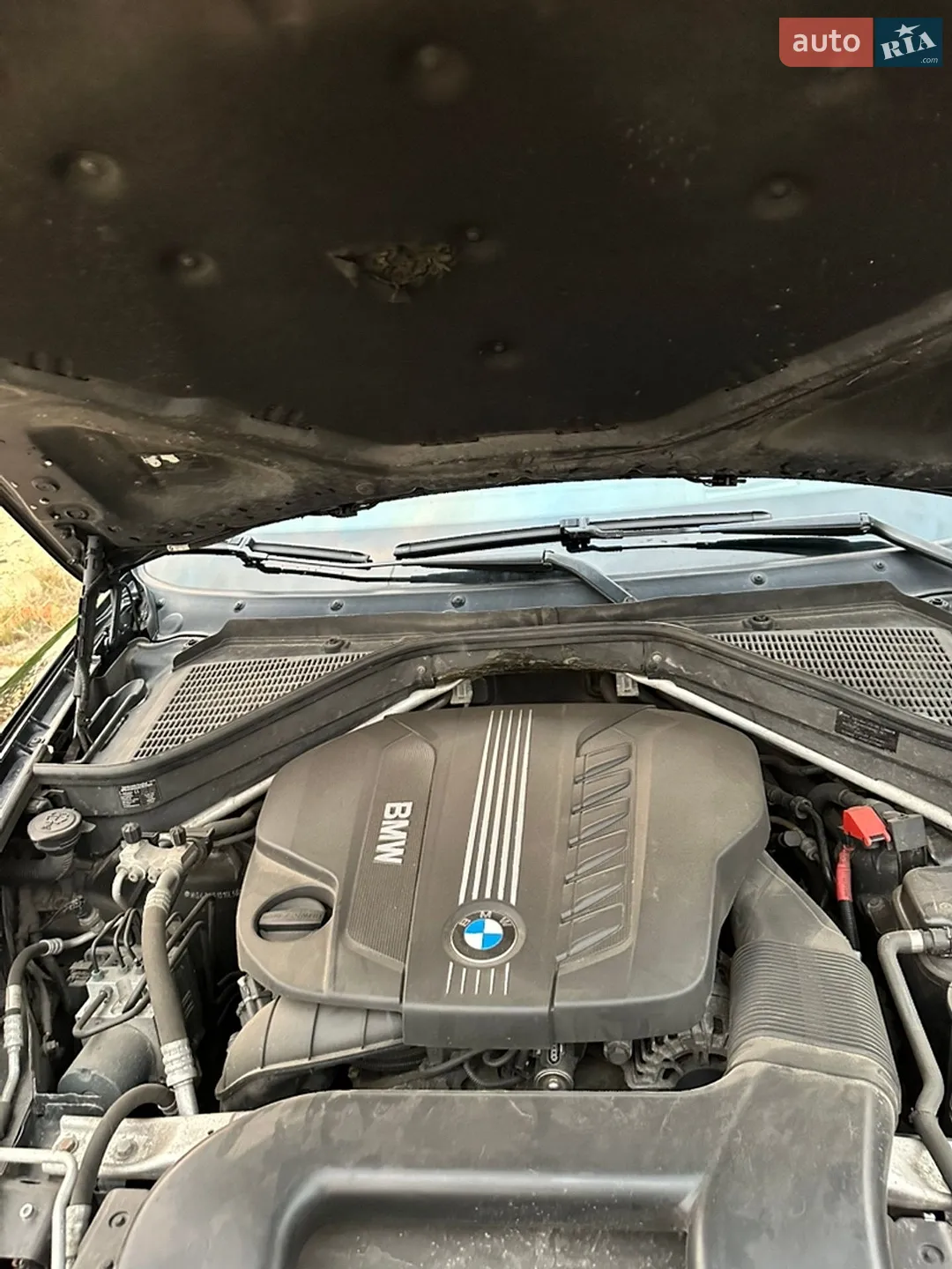 2010 BMW X5 - мініатюра 31