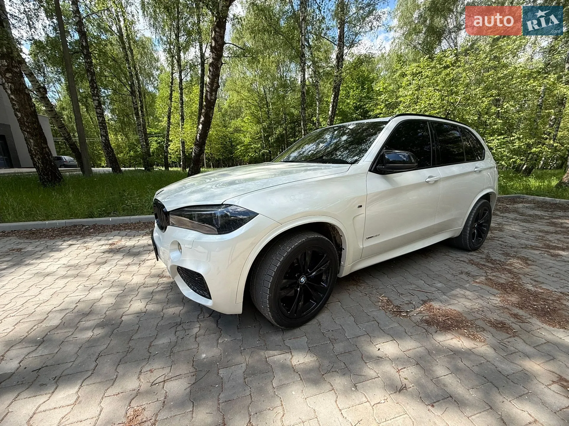 2013 BMW X5 - мініатюра 13