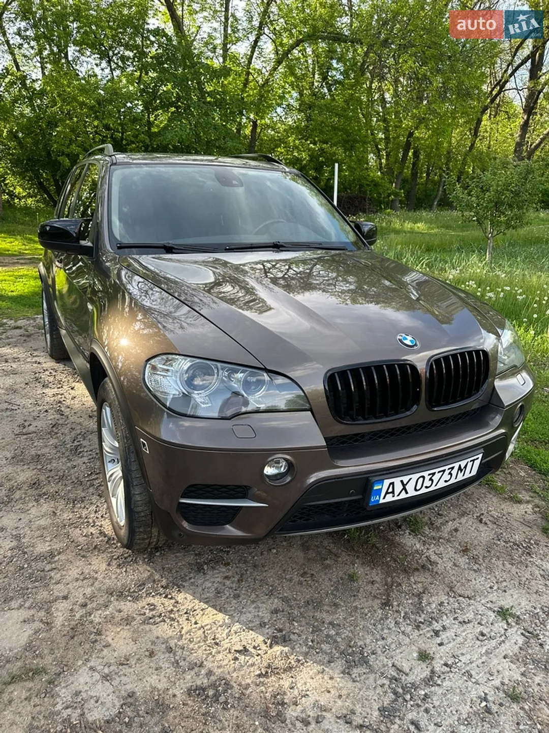 2010 BMW X5 - мініатюра 4
