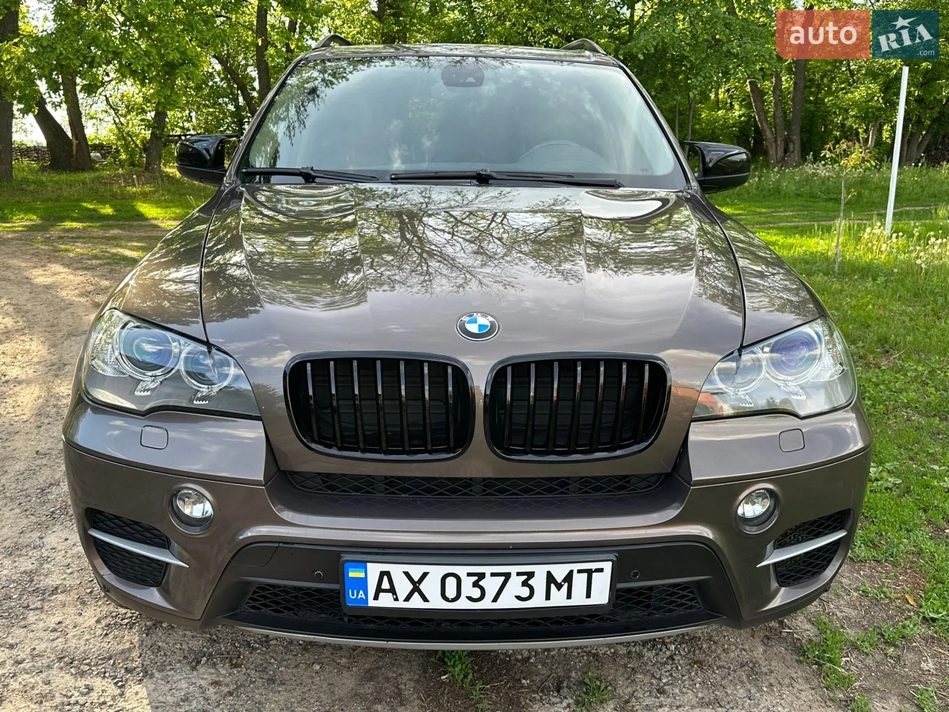2010 BMW X5 - мініатюра 5